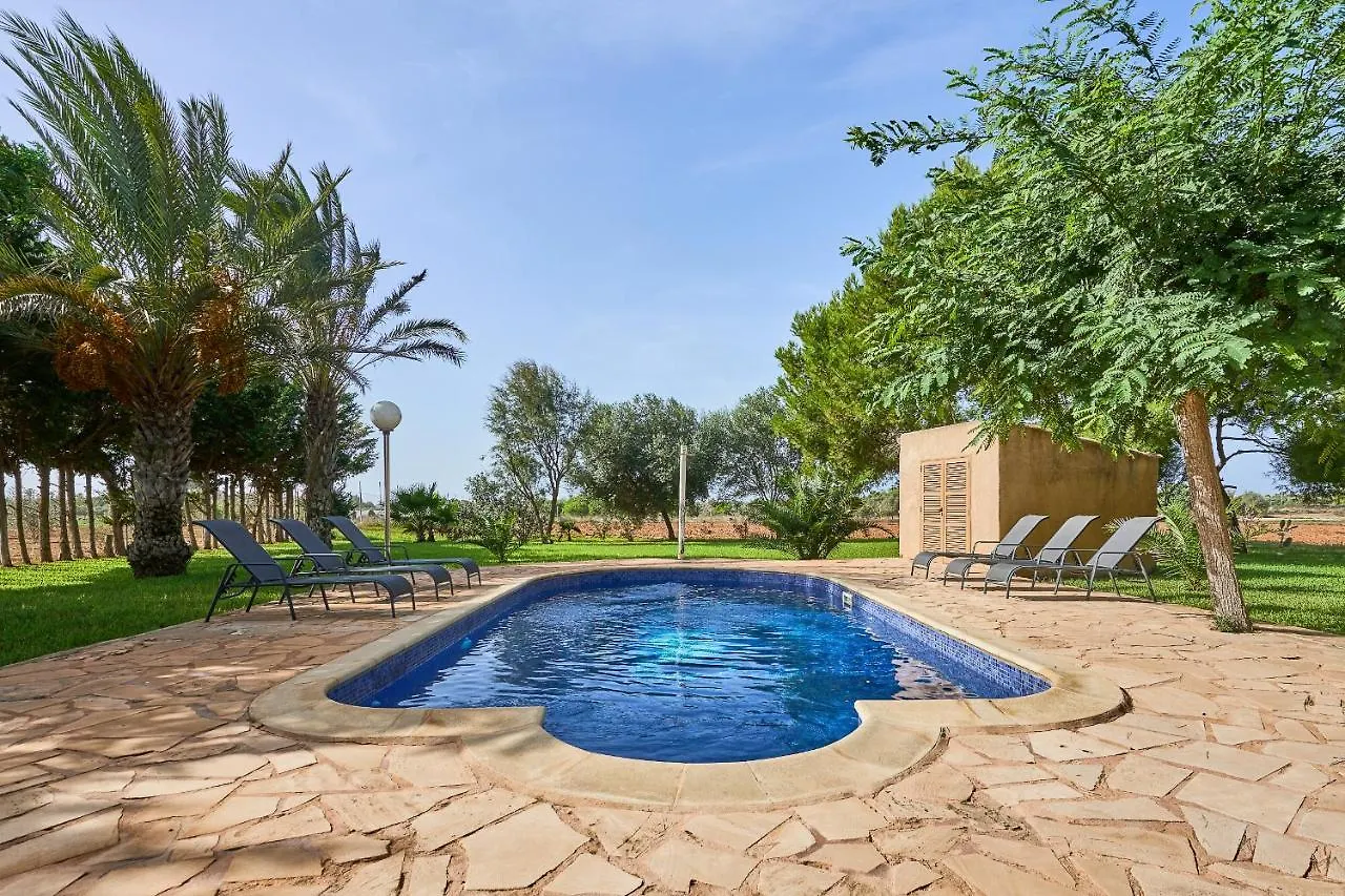 Villa Sa Vinya سي سالينيس